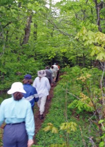 If you are new to hiking, one of the group hikes offered on National Trails Day could be a wonderful introduction. (EasternSlopes.com)