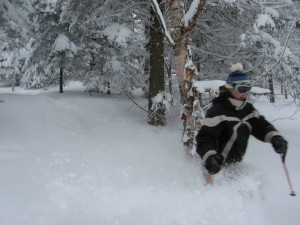 Bolton's high altitude makes for great glade skiing (Bolton Valley photo)