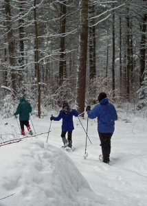 All you need to go all winter is one good pair of snowshoes, but which ones are right for you? (Tim Jones/EasternSlopes.com)