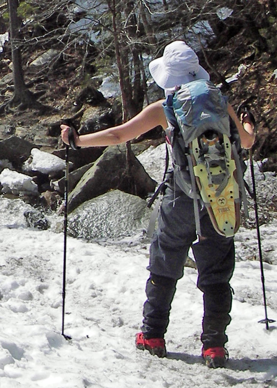 Crawford Notch Waterfall Hikes