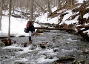 In the river