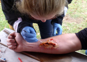 WoundCare-H