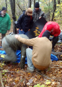 Triage