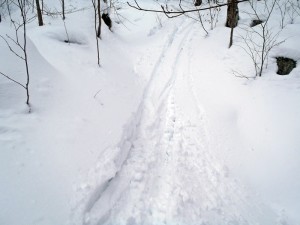 Backcountry powder at Owl's Head