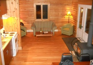AppalachesLodge and Spa - Living room