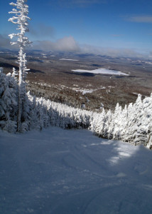 Saddleback 02-25-13