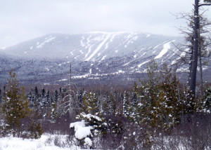 Saddleback View -H