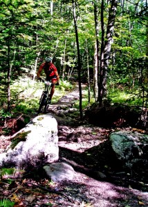 MTB high contrast lighting