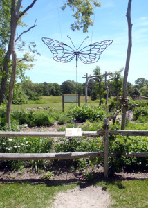 The Butterfly Garden at Felix Neck Wildlife Sanctuary on Martha's Vineyard. (Tim Jones/EasternSlopes.com)