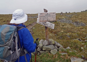 Signpost on the Davis Path Trail on Mount Washington