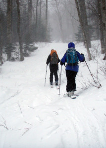 Skinning up the Gulf of Slides trail in Pinkham Notch, NH. By the time we turned around to ski down, our “up tracks” had disappeared under fresh snow. (Tim Jones/EasternSlopes.com)
