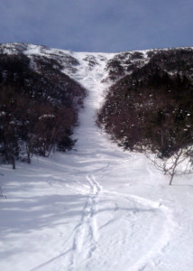 Just to whet your appetite for the experience, this is what the upper part of Gulf Of Slides ski trail looks like on a bluebird morning with fresh snow. (Danielle Jepson/Appalachian Mountain Club)