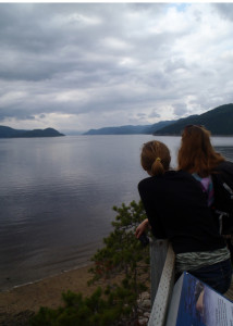 Here Be Whales: The view from the Halte de Beluga  viewpoint overlooking Baie Sainte Marguerite. You can't see them in the photo, but there are more than a dozen white Beluga whales lounging in the waters below. (EasternSlopes.com)