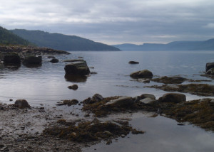A misty morning following an overnight rain gave us the perfect excuse to relax a little, and a stroll at low tide rewarded us with this view of Saguenay Fjord. (EasternSlopes.com)