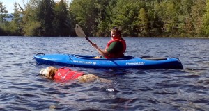 Exercising your older dog with a Ruffwear K-9 Float Coat.