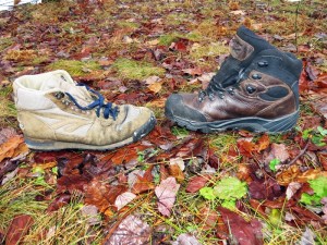 Hi-Tec Altitude Pro RGS vs. original PCT