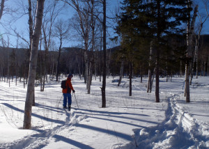 Where the upper slopes of Brackett Basin were wind-scoured, the gentler, more open slopes near the bottom had powder aplenty. If you need to learn skinning technique, this is the perfect place to start.(EasternSlopes.com)