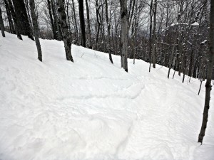 Sunday River's Northwoods glade