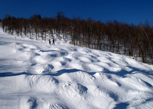 There was something for everyone at Sunapee this morning: lots of snow in the trees, big, pillow-topped bumps, and miles and miles of soft corduory! (EasternSlopes.com)