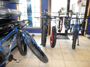 Stan and Dan fatbike rental fleet