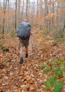 The quiet season after leaves fall is a wonderful time to explore some of New England’s Wilderness areas. This is the Basin Trail heading into the Wild River Wilderness. One note of caution: trail in Wilderness Areas aren’t always this easy to follow. (EasternSlopes.com photo)