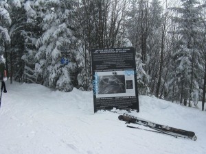 Monty Liguori has five "mapped" routes for tree skiers, from steep and tight pitches to more moderate drops through snow-choked glades. (Courtesy photo)