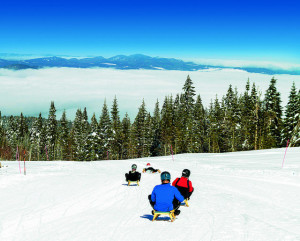 Get ready to fly on the piste du luge at Le Massif de Charlevoix. (Le Massif photo)