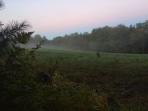 This was my view at dawn. (photo by Deborah Lee Luskin/easternslopes.com)